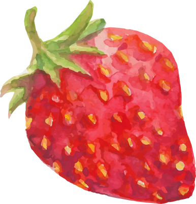 Watercolor Strawberry Illustration