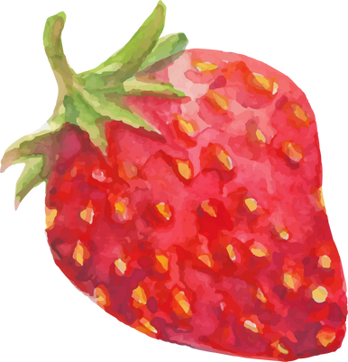 Watercolor Strawberry Illustration